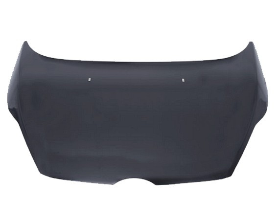 Přední kapota Ford Fiesta VI (CB1/CCN) 08-13 GALVANIZOVANA