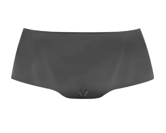 Přední kapota Renault Laguna II (BG/KG) 01-05