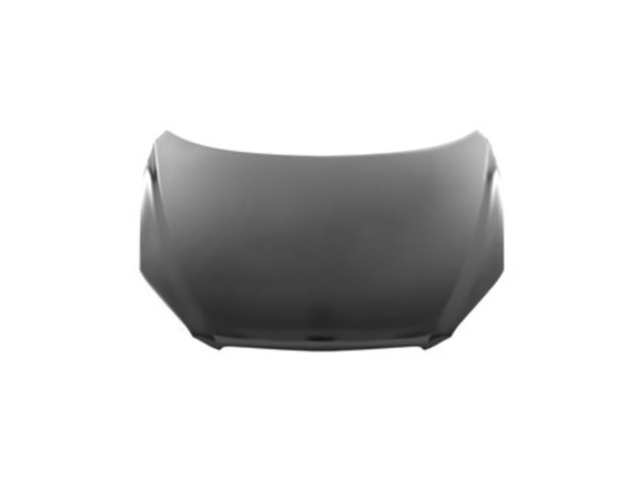 Přední kapota Toyota Rav 4 III (A3) 06-09