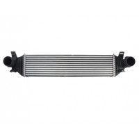 Chladič vzduchu Intercooler Ford C-MAX II (DXA/CB7) 14-19 2.0