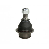 Levý = Pravý čep předního spodního ramena Ford Transit V363 14-19