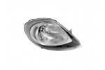 Pravé přední světlo Opel Vivaro A (X83) 01-06
